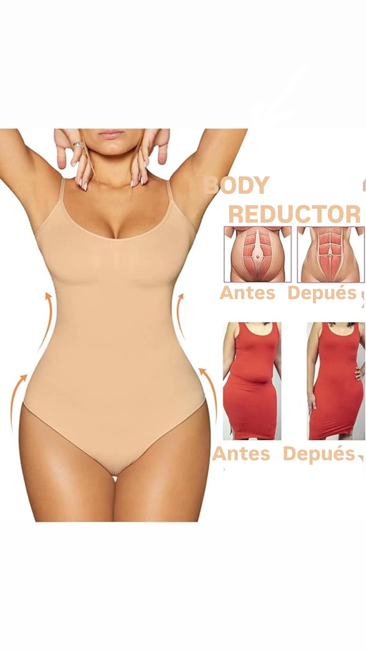 BODY REDUCTOR